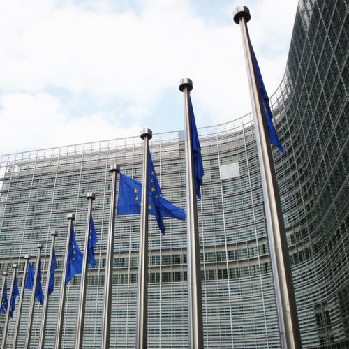 Encadrement des perturbateurs endocriniens : la Commission Européenne manque d’ambition, selon Générations Futures Encadrement des perturbateurs endocriniens : la Commission Européenne manque d’ambition, selon Générations Futures