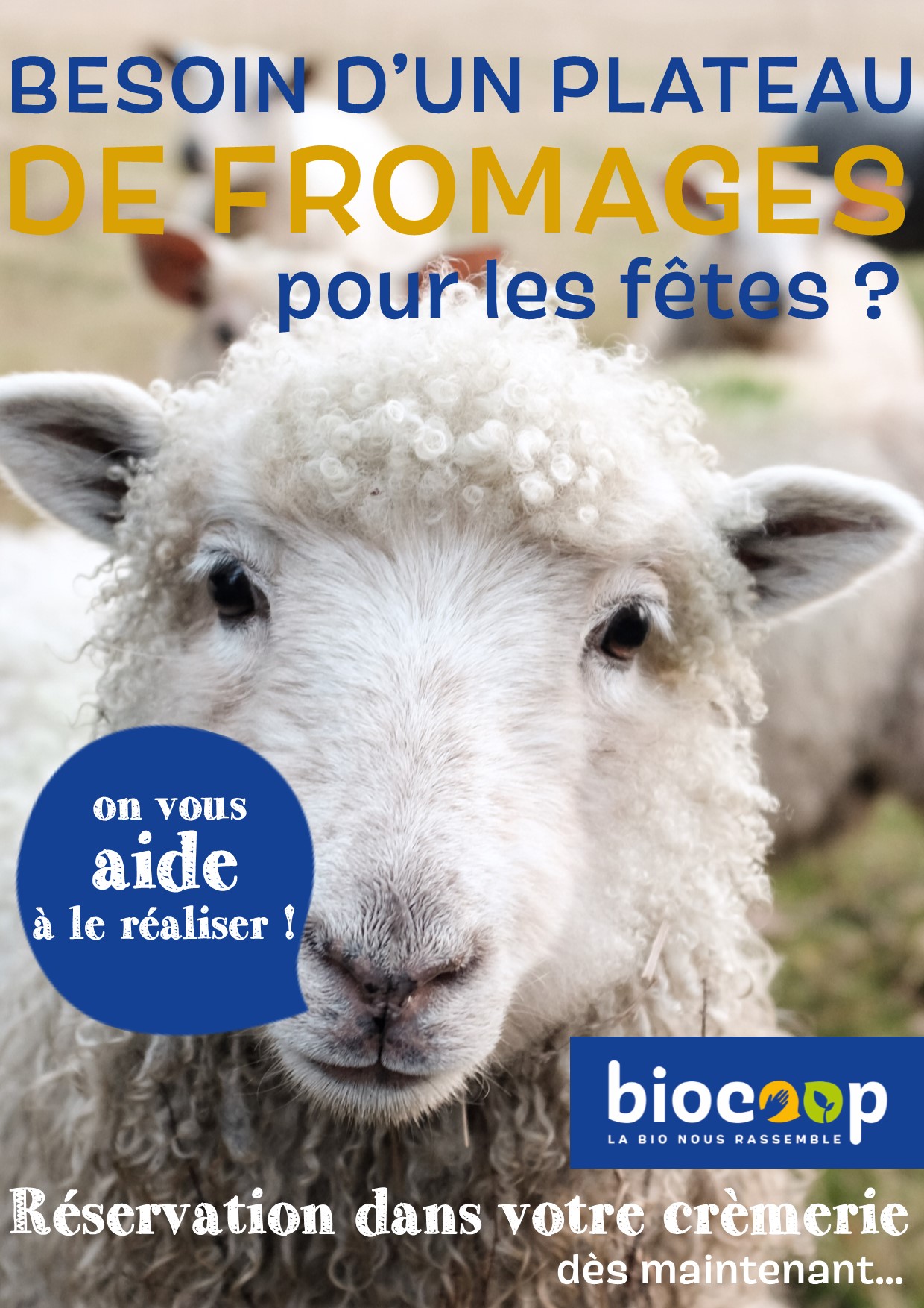 VOUS AVEZ BESOIN D'UN PLATEAU DE FROMAGES POUR LES FÊTES ? VOUS AVEZ BESOIN D'UN PLATEAU DE FROMAGES POUR LES FÊTES ?