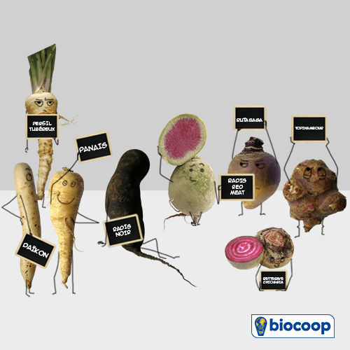 Les légumes du mois : les légumes insolites Les légumes du mois : les légumes insolites