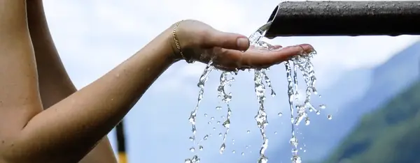 La Bio pour sauver l'eau !